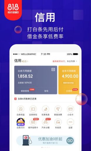 金东金融白条免费版