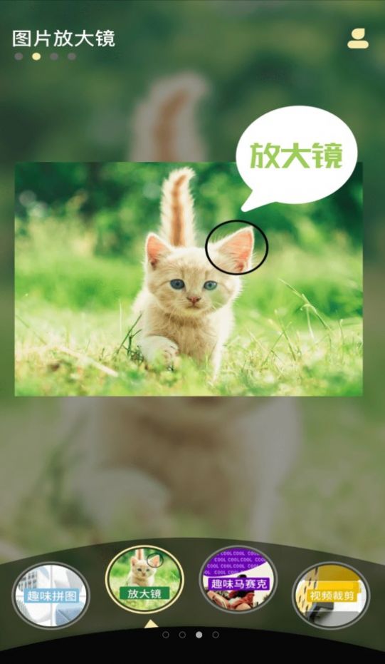 小妲己视频剪辑2024