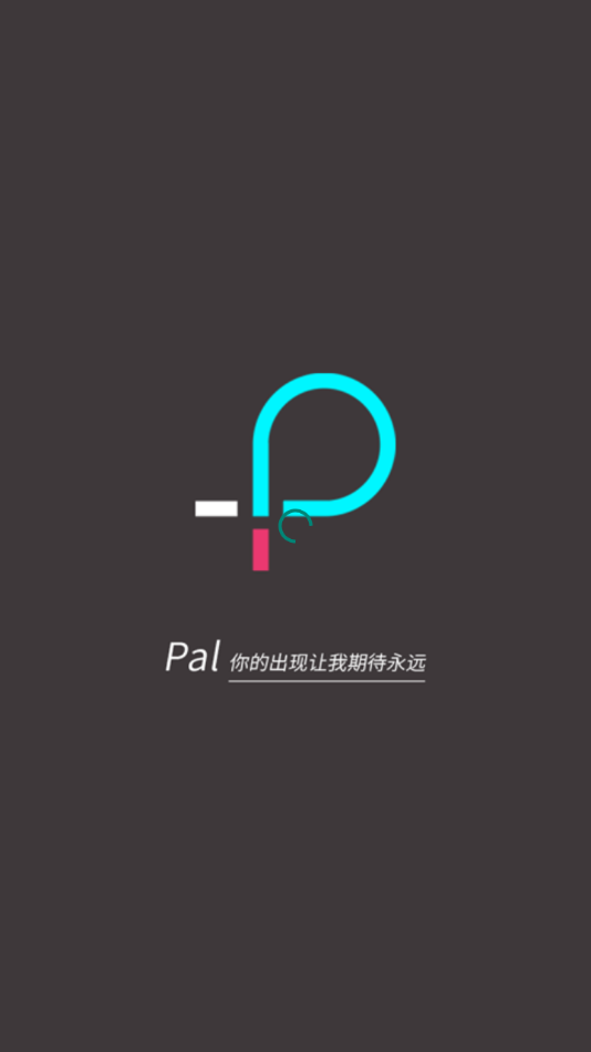 palm软件