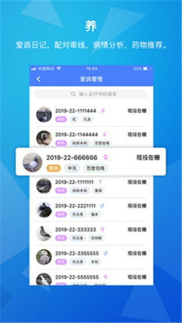 天下鸽谱  v1.1.5图1