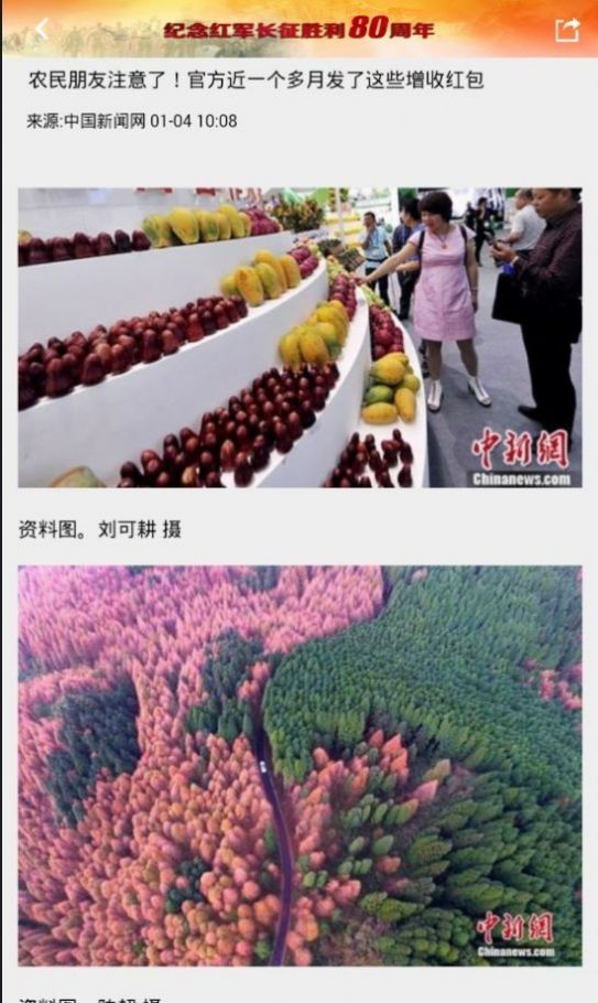 东北新闻网pc端官网  v1.5图1