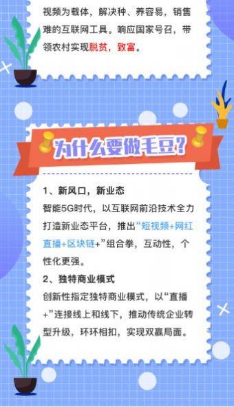 毛豆短视频安卓版下载