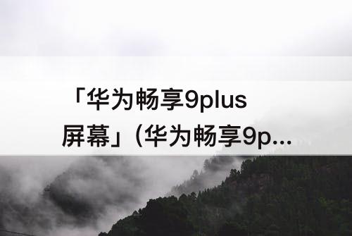 「华为畅享9plus屏幕」(华为畅享9plus屏幕总成)