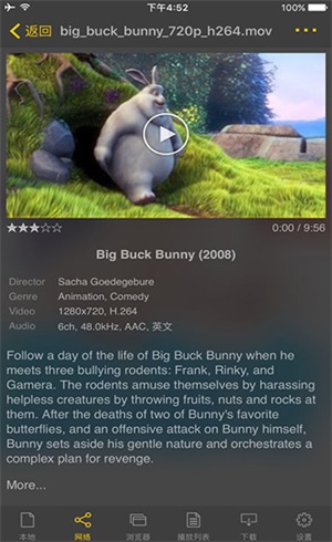 nplayerplus安卓  v1.7.5.1图2