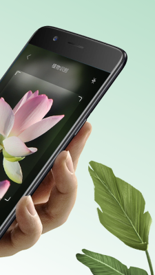 万物识图最新版下载安装苹果手机app