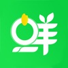 地下城与勇士M韩服