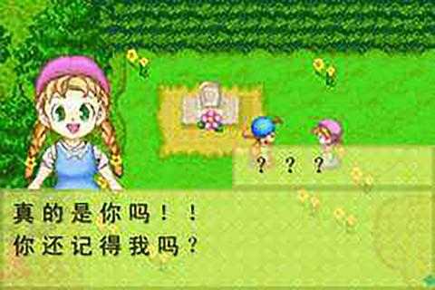 牧场物语下载官方版