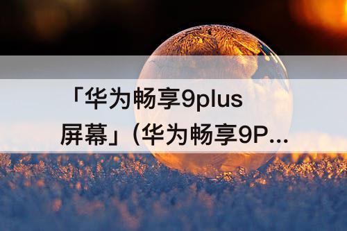 「华为畅享9plus屏幕」(华为畅享9Plus屏幕刷新率)
