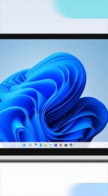 Todesk安卓版4.2.9