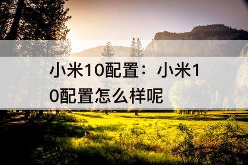 小米10配置：小米10配置怎么样呢