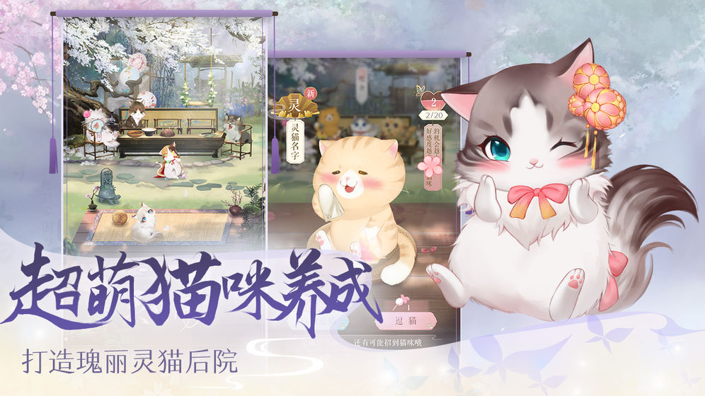 灵猫传破解版下载  v1.1.96图2
