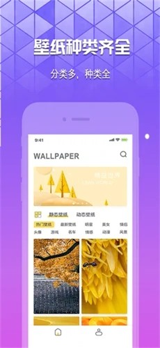 奶油壁纸助手下载安装最新版  v1.0.0图2