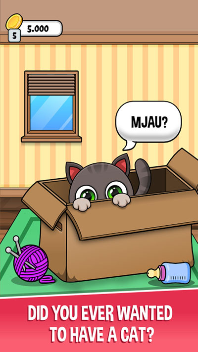 猫咪养成2024