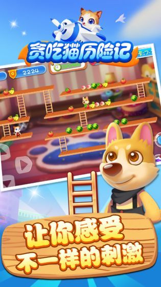 贪吃猫历险记2024  v1.0图2