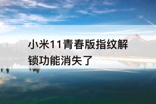 小米11青春版指纹解锁功能消失了